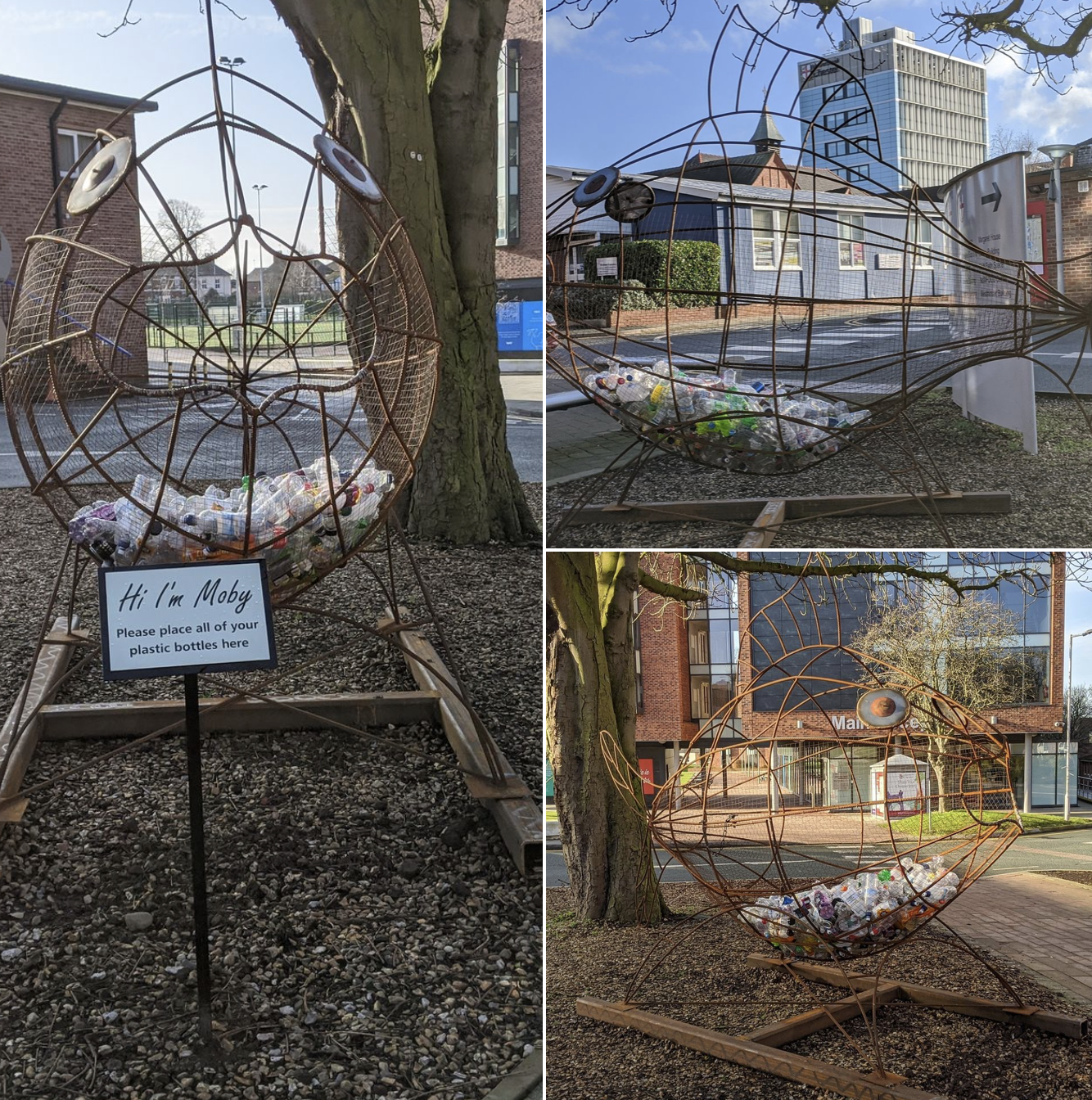 (List #46) What Business Schools Are Doing About Plastic