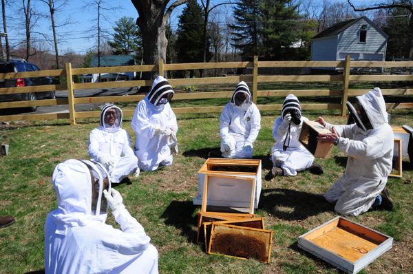 Bee Engaged