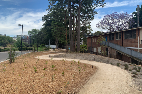 Curriculum Garden
